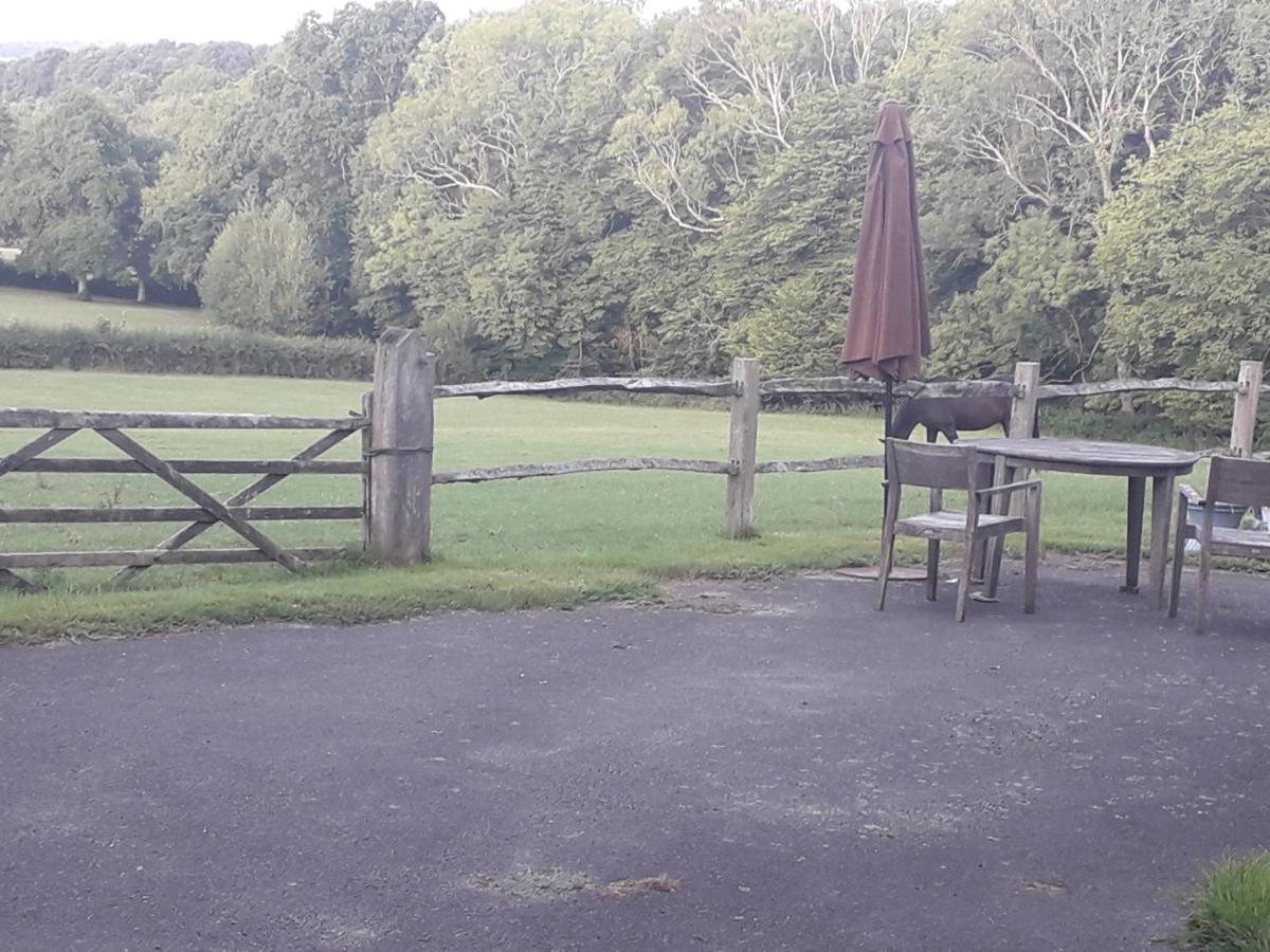 Moaps Farm B&B Support Small Business, Welcome, Check In From 5 Pm Danehill Exterior foto