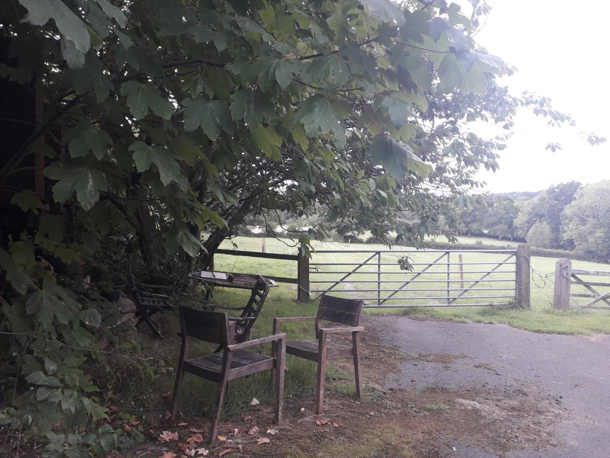 Moaps Farm B&B Support Small Business, Welcome, Check In From 5 Pm Danehill Exterior foto