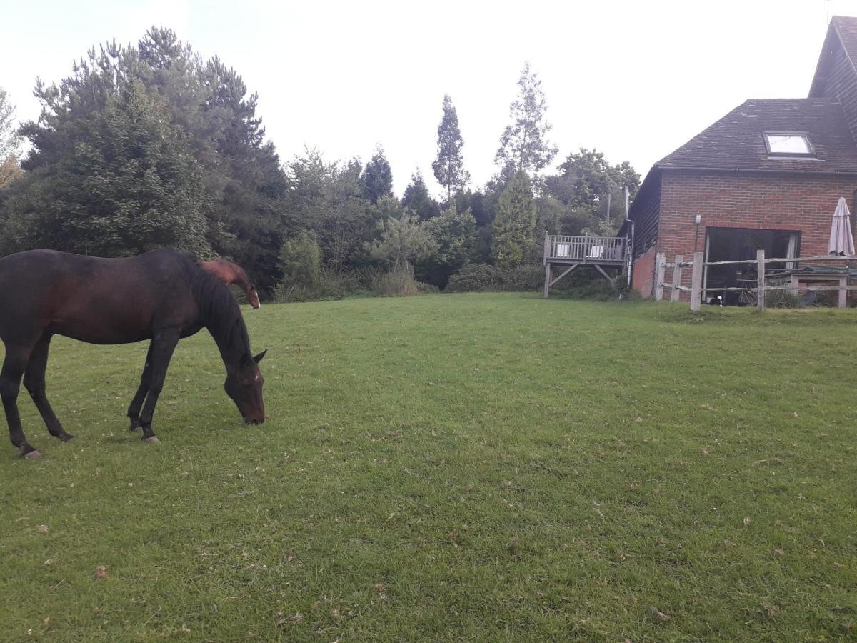 Moaps Farm B&B Support Small Business, Welcome, Check In From 5 Pm Danehill Exterior foto