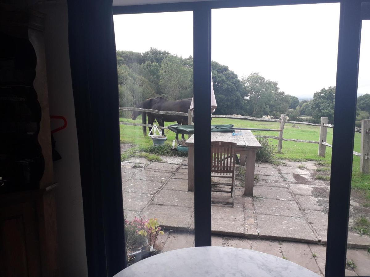 Moaps Farm B&B Support Small Business, Welcome, Check In From 5 Pm Danehill Exterior foto